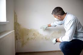 Why You Should Choose Our Mold Remediation Services in Cienegas Terrace, TX